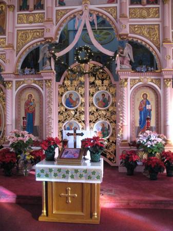 Nativity BVM 6270.jpg