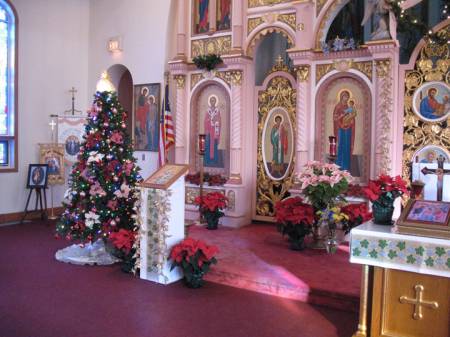 Nativity BVM 6271.jpg