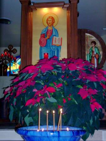 Christmas 2008 #6.JPG
