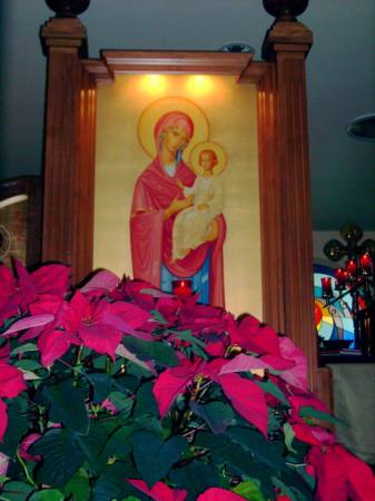 Christmas 2008 #14.JPG